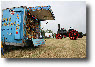 IMG_1123a.jpg