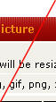 pp31df2074.jpg