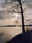 Evening at Anglezarke