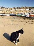 Mousehole, Cornwall