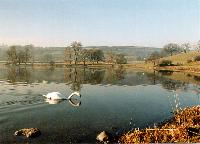 Esthwaite