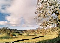 Lakeland Scene