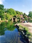 The Oriental Garden