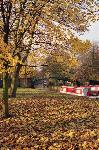 Worsley in autumn